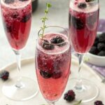 Blackberry Prosecco Spritzer