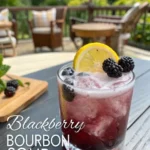 Blackberry Bourbon Sour